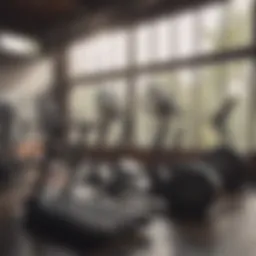 Diverse range of aerobic machines in a modern gym setting