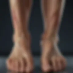 Anatomy of Foot Nerves