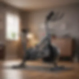 Compact exercise bike in a small living space