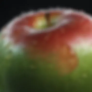 Close-up of a single apple with water droplets glistening on its skin