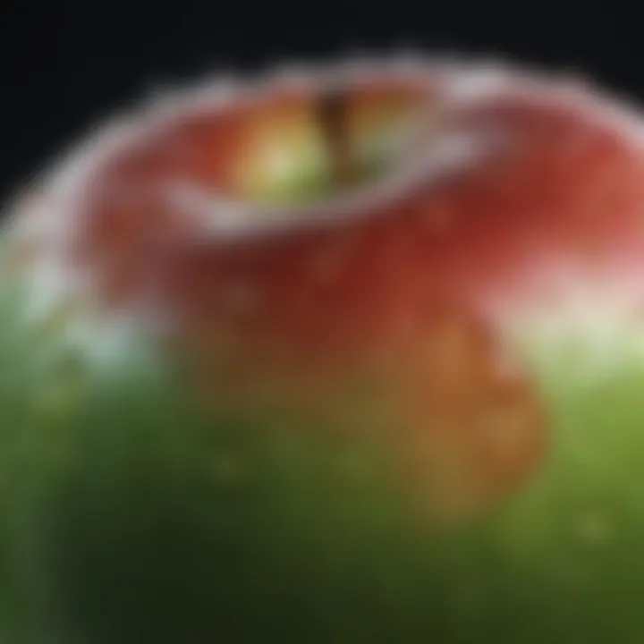 Close-up of a single apple with water droplets glistening on its skin