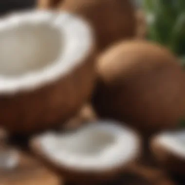 Hydrating Coconut Benefits Coconut half with water and flesh
