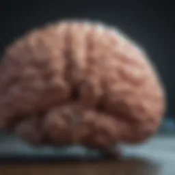 Illustration of brain functions