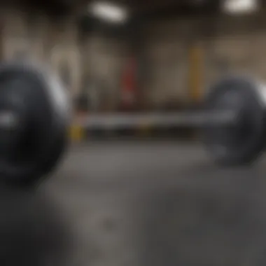 Illustration of deadlift bar specifications