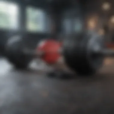Advanced Fitness Equipment for Effective Workouts Fitness equipment with dumbbells and resistance bands