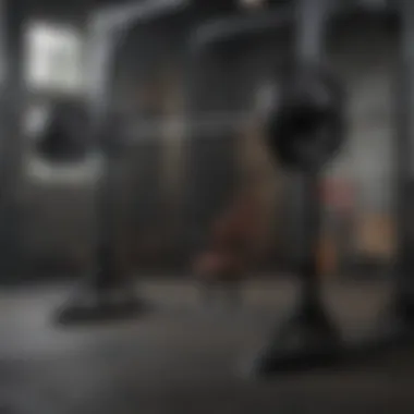 Brand logos of reputable squat rack manufacturers