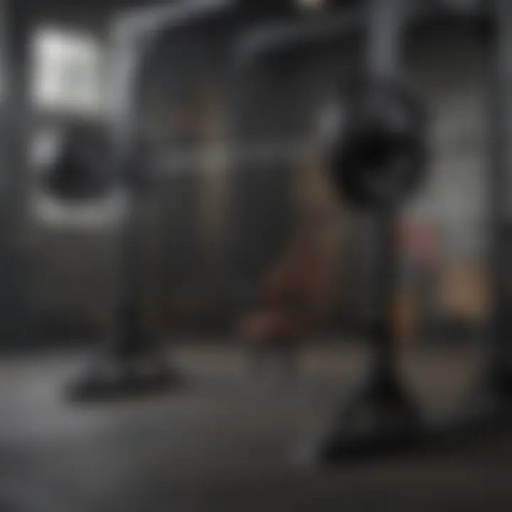 Brand logos of reputable squat rack manufacturers