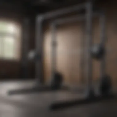 Squat Rack Price Comparison Comparison chart illustrating price ranges for different squat racks