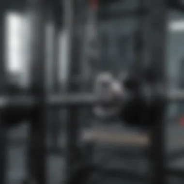 Essential Safety Features Close-up of squat rack safety features for secure workouts
