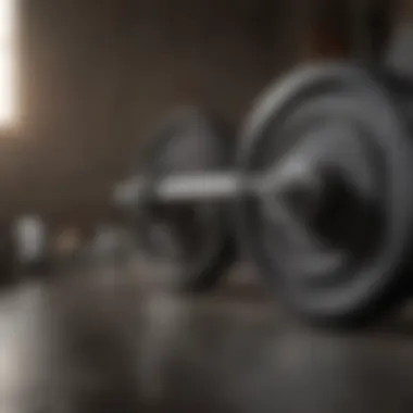 Barbells and weight plates for strength training