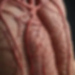 Illustration depicting coronary arteries narrowing