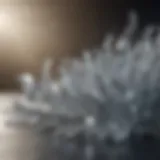 Crystalline Structure of Magnesium