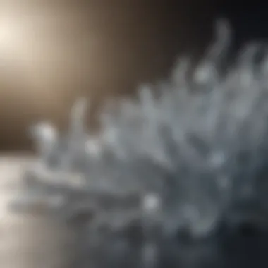 Crystalline Structure of Magnesium