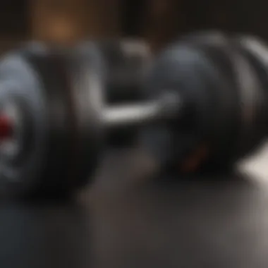 Durability Assessment of Both Dumbbells Durability comparison between Bowflex Dumbbells and Powerblock