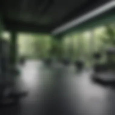 Eco-Friendly Fitness Haven