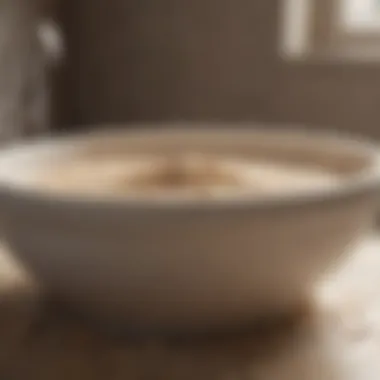 Gentle Oatmeal Bath for Soothing Skin Oatmeal Bath for Skin Soothing