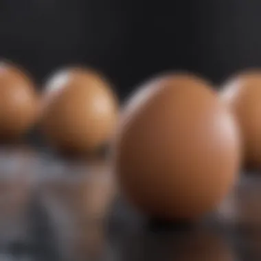 Egg-cellent weight loss aid