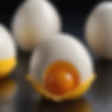 Egg Yolk Close-Up