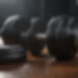Elegant dumbbell design with sleek contours