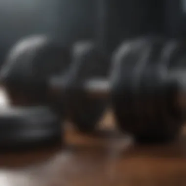 Elegant dumbbell design with sleek contours