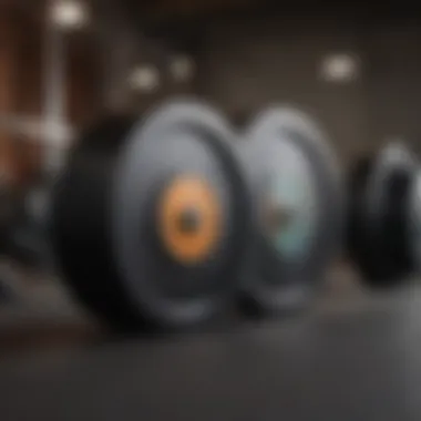 A workout station featuring bumper plates on a barbell, showcasing their application in fitness routines.