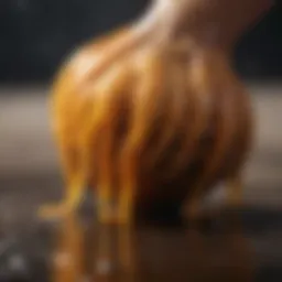 Vibrant turmeric root with droplets of water