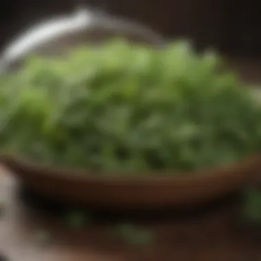 Herbal Remedies for Hair Loss Prevention