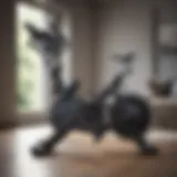 Modern exercise bike showcasing sleek design
