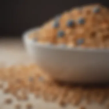 Fiber-packed cereal options