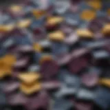 Colorful assortment of blue corn chips with a dip