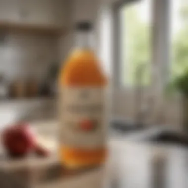 Apple Cider Vinegar in a Calm Kitchen Environment A serene kitchen setting with a bottle of apple cider vinegar on a countertop