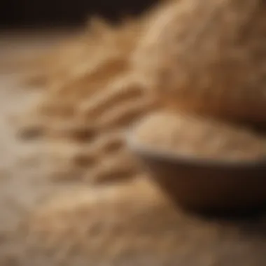 Close-up of various whole grains like oats, barley, and quinoa