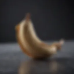 Aromatic Vanilla Bean Pod