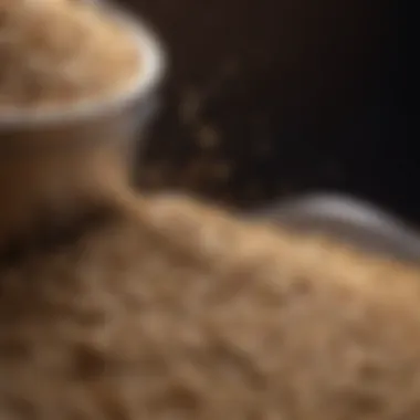 Fiber Fermentation Visualization