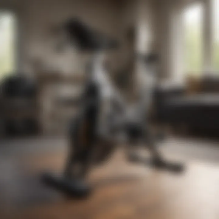 Adjustable resistance settings for personalized workouts