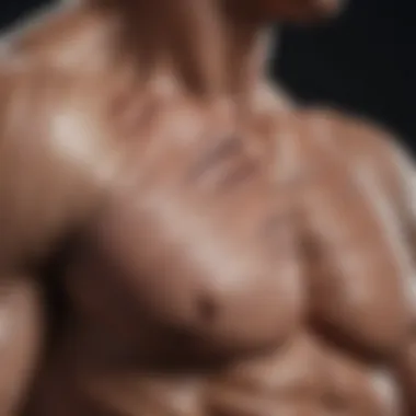 Understanding Muscle Fibers Illustration of muscle fibers and their structure