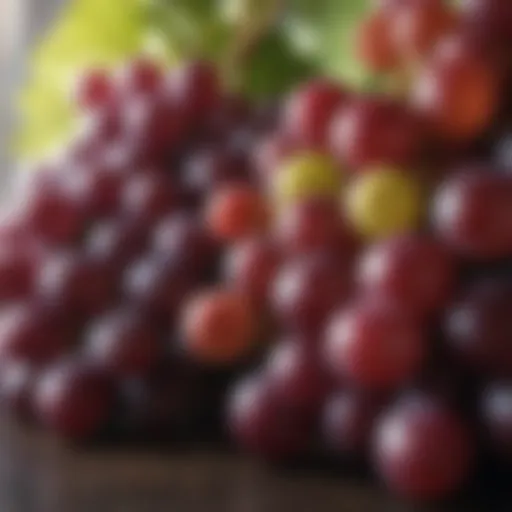 Grapes of Goodness