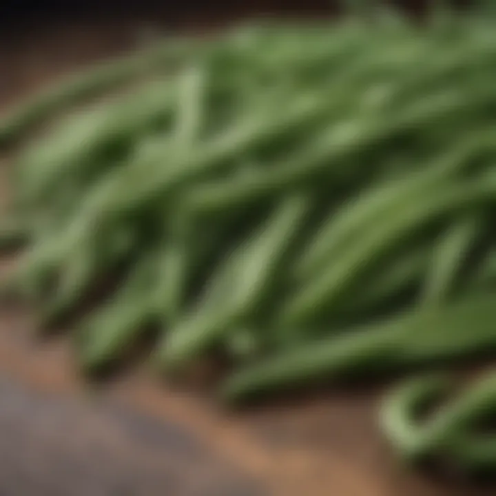 Green beans amino acid profile visualized artistically