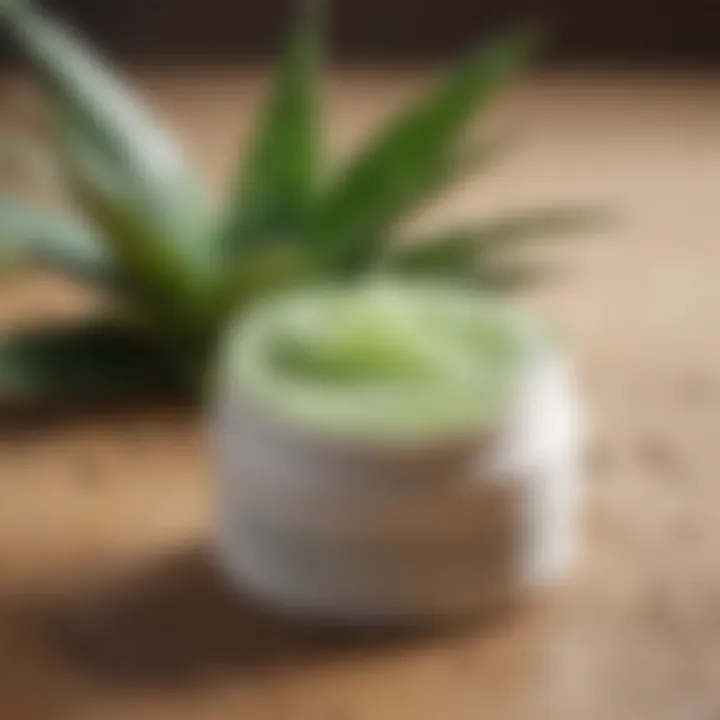 Healing Aloe Vera Cream