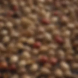 An assortment of seeds rich in nutrients