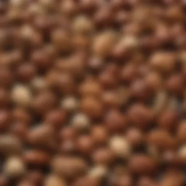 A vibrant assortment of nuts and seeds, showcasing their rich textures and colors.