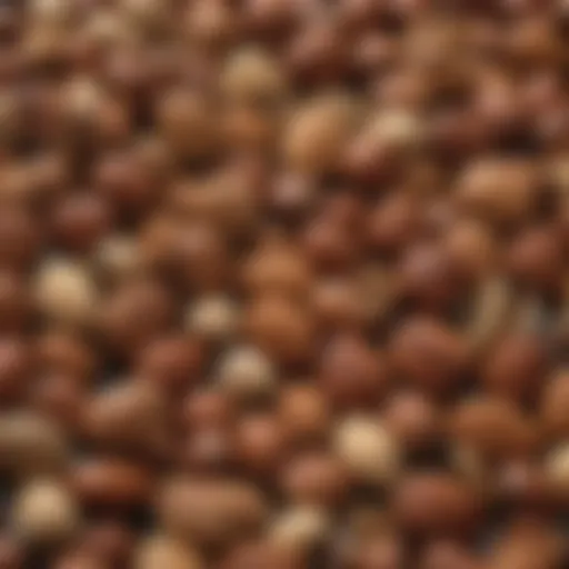 A vibrant assortment of nuts and seeds, showcasing their rich textures and colors.