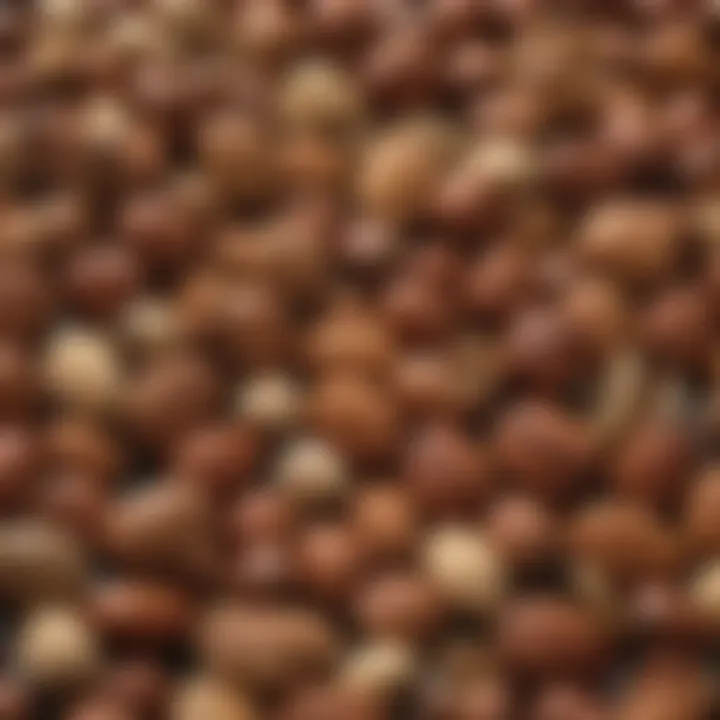 A vibrant assortment of nuts and seeds, showcasing their rich textures and colors.