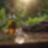 Herbal remedies for migraine relief