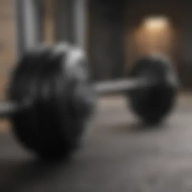 Ergonomically Designed Barbell Ergonomically Designed Barbell for Comfortable Grip