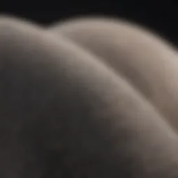 Gymshark's Innovative Fabric Technology