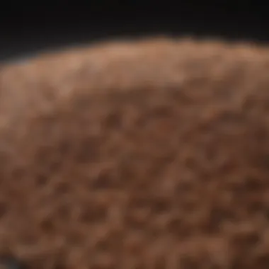 A close-up of hearty lentils high in iron
