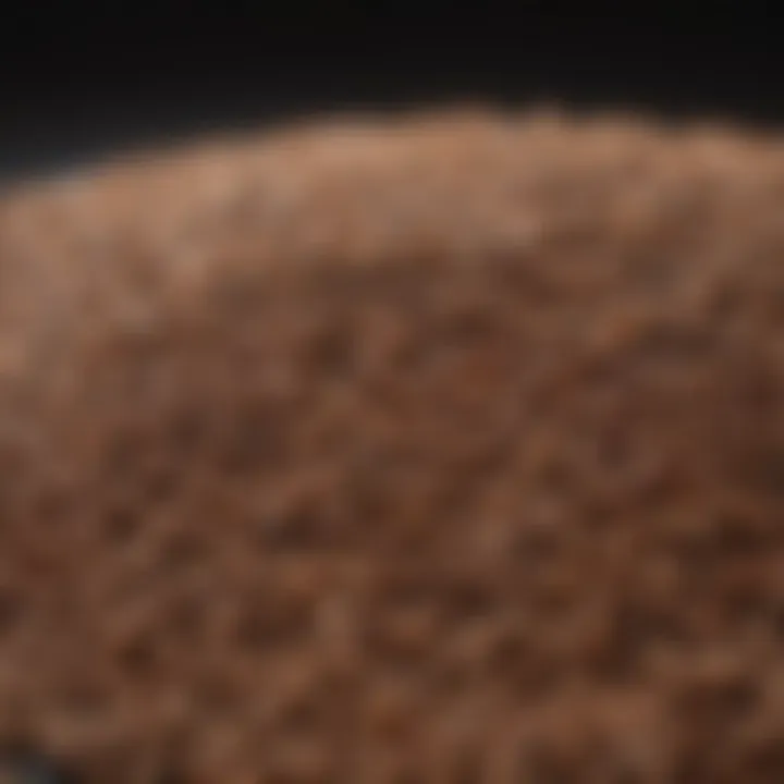 A close-up of hearty lentils high in iron