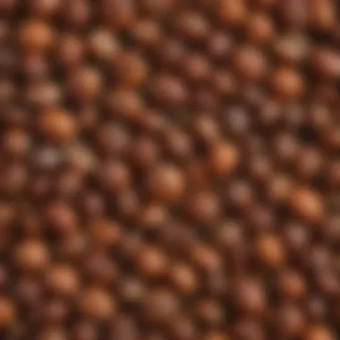 A colorful assortment of iron-rich nuts and seeds