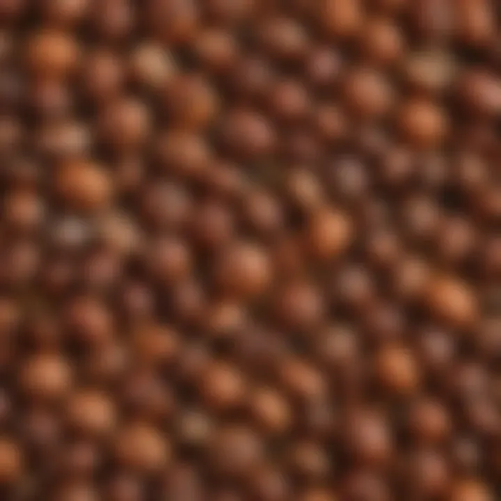 A colorful assortment of iron-rich nuts and seeds